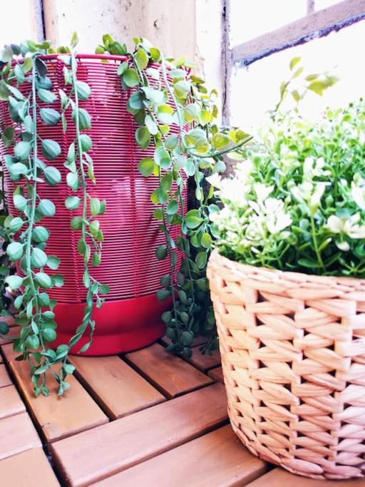 Sunny Flat 50 Meters From The Metro Apartment Milano Ngoại thất bức ảnh
